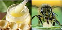 Dùng sữa ong chúa trị mụn hiệu quả, không gây hại cho làn da